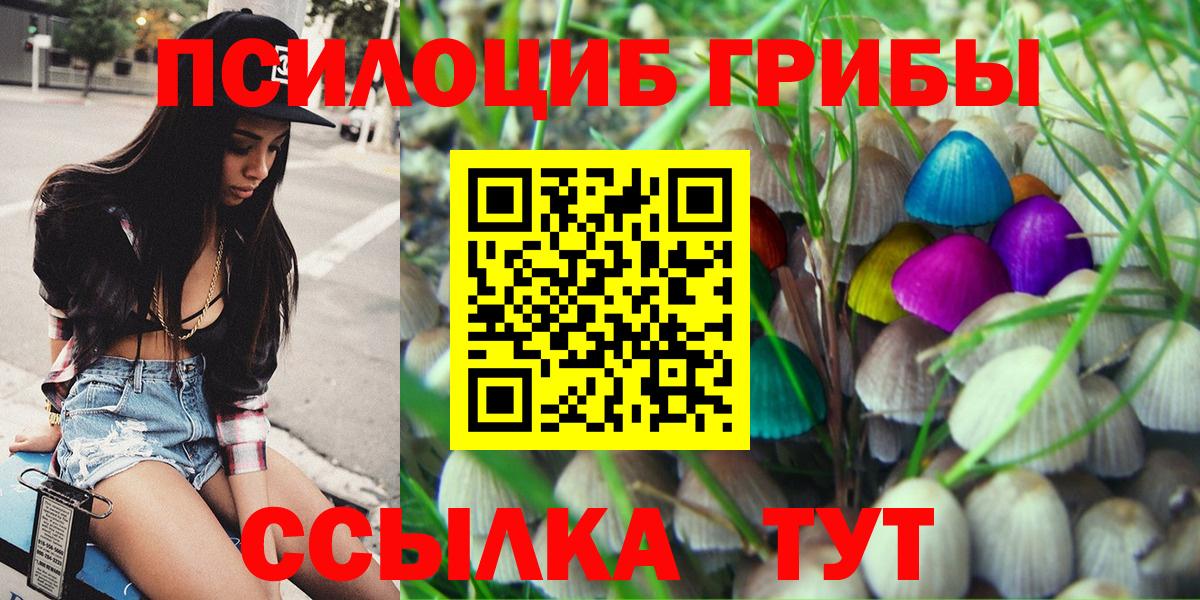 Галлюциногенные грибы мухоморы Волоколамск