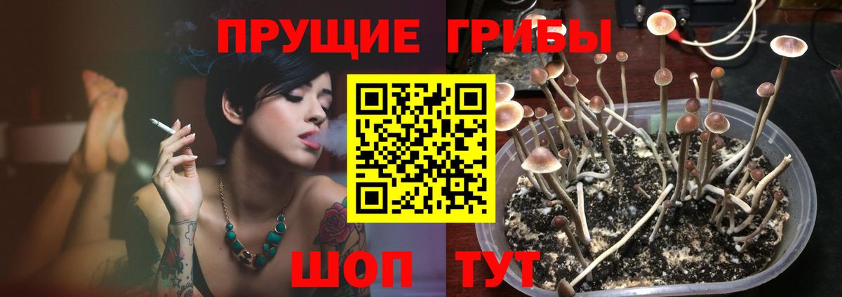 Псилоцибиновые грибы Cubensis  Вход с VPN  Галлюциногенные грибы Psilocybine cubensis  где продают наркотики  Волоколамск 